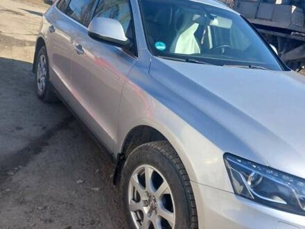 Ауди Ку 5 2009 в Городок на Automoto.ua Серый Ауди Ку 5, объемом двигателя 1.97 л и пробегом 210 тыс. км за 14000 $, фото 1 на Automoto.ua
