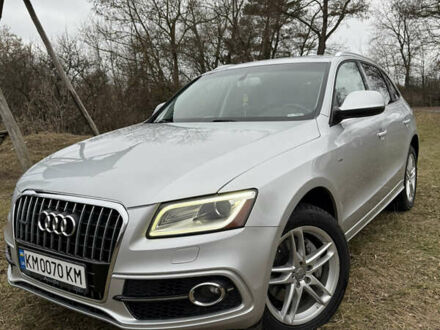 Ауди Ку 5 2012 в Житомире на Automoto.ua Серый Ауди Ку 5, объемом двигателя 3 л и пробегом 208 тыс. км за 13800 $, фото 1 на Automoto.ua