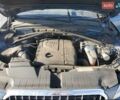 Ауди Ку 5 2016 в Львове на Automoto.ua Синий Ауди Ку 5, объемом двигателя 1.98 л и пробегом 174 тыс. км за 12450 $, фото 11 на Automoto.ua