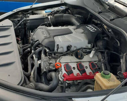 Білий Ауді Ку 7, об'ємом двигуна 3 л та пробігом 214 тис. км за 13500 $, фото 72 на Automoto.ua