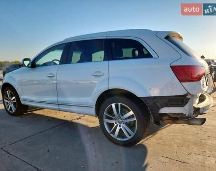 Білий Ауді Ку 7, об'ємом двигуна 3 л та пробігом 65 тис. км за 1200 $, фото 1 на Automoto.ua