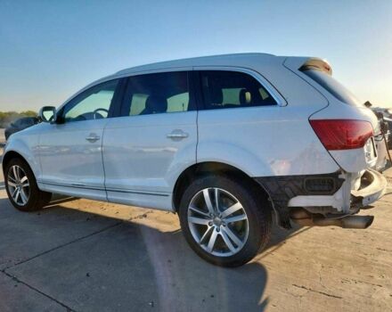Ауди Ку 7 2013 в Тернополе на Automoto.ua Белый Ауди Ку 7, объемом двигателя 3 л и пробегом 65 тыс. км за 1700 $, фото 1 на Automoto.ua