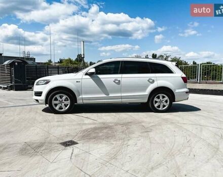 Ауди Ку 7 2014 в Киеве на Automoto.ua Белый Ауди Ку 7, объемом двигателя 3 л и пробегом 193 тыс. км за 16500 $, фото 3 на Automoto.ua