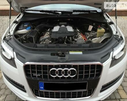 Ауди Ку 7 2014 в Киеве на Automoto.ua Белый Ауди Ку 7, объемом двигателя 3 л и пробегом 183 тыс. км за 15500 $, фото 46 на Automoto.ua