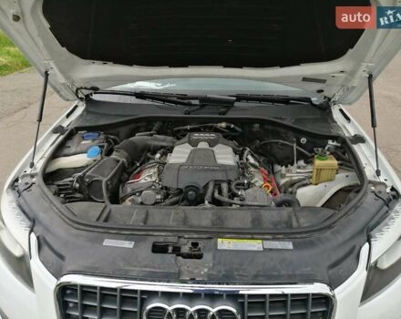 Ауди Ку 7 2015 в Полтаве на Automoto.ua Белый Ауди Ку 7, объемом двигателя 3 л и пробегом 118 тыс. км за 20500 $, фото 59 на Automoto.ua