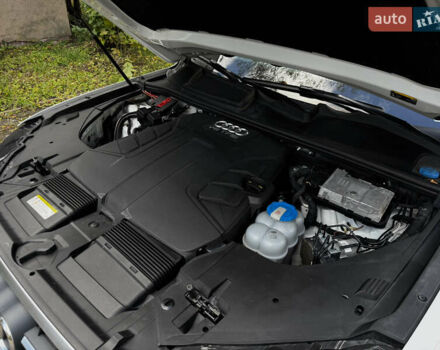 Белый Ауди Ку 7, объемом двигателя 3 л и пробегом 228 тыс. км за 26850 $, фото 27 на Automoto.ua