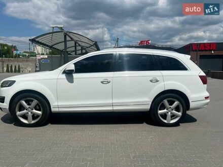 Ауди Ку 7 2010 в Киеве на Automoto.ua Белый Ауди Ку 7, объемом двигателя 3 л и пробегом 240 тыс. км за 12000 $, фото 1 на Automoto.ua