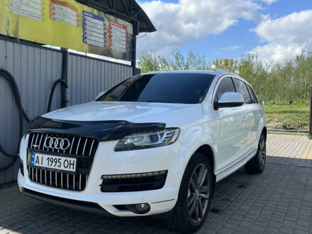 Ауди Ку 7 2011 в Александрие на Automoto.ua Белый Ауди Ку 7, объемом двигателя 3 л и пробегом 231 тыс. км за 17500 $, фото 1 на Automoto.ua