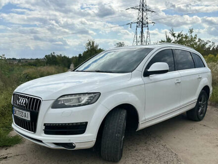 Ауди Ку 7 2011 в Ровно на Automoto.ua Белый Ауди Ку 7, объемом двигателя 3 л и пробегом 243 тыс. км за 14800 $, фото 1 на Automoto.ua