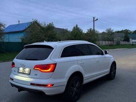 Ауди Ку 7 2011 в Новгород-Северском на Automoto.ua Белый Ауди Ку 7, объемом двигателя 3 л и пробегом 340 тыс. км за 17000 $, фото 1 на Automoto.ua