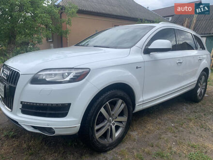 Ауди Ку 7 2012 в Черкассах на Automoto.ua Белый Ауди Ку 7, объемом двигателя 3 л и пробегом 178 тыс. км за 13800 $, фото 1 на Automoto.ua