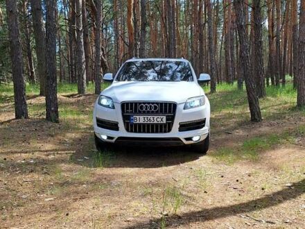 Ауди Ку 7 2014 в Кобеляках на Automoto.ua Белый Ауди Ку 7, объемом двигателя 2.97 л и пробегом 170 тыс. км за 22300 $, фото 1 на Automoto.ua