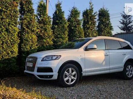 Ауди Ку 7 2014 в Львове на Automoto.ua Белый Ауди Ку 7, объемом двигателя 3 л и пробегом 103 тыс. км за 17500 $, фото 1 на Automoto.ua
