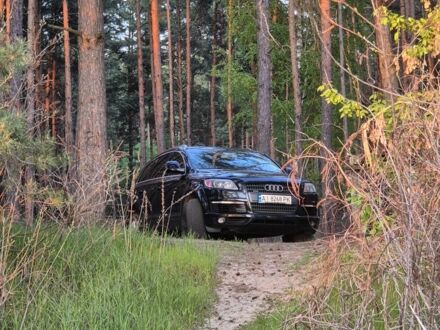 Ауди Ку 7 2007 в Борисполе на Automoto.ua Черный Ауди Ку 7, объемом двигателя 3.6 л и пробегом 214 тыс. км за 9000 $, фото 1 на Automoto.ua