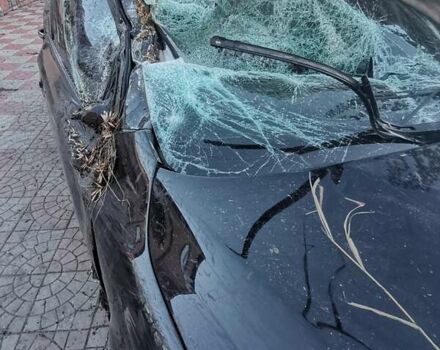 Ауді Ку 7, об'ємом двигуна 4.1 л та пробігом 280 тис. км за 9000 $, фото 5 на Automoto.ua