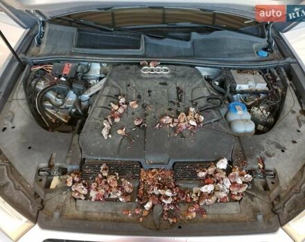 Ауди Ку 7, объемом двигателя 3 л и пробегом 94 тыс. км за 7500 $, фото 10 на Automoto.ua