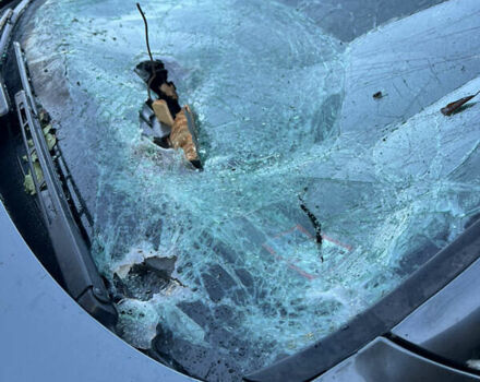 Серый Ауди Ку 7, объемом двигателя 2.97 л и пробегом 206 тыс. км за 8500 $, фото 12 на Automoto.ua