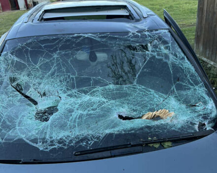 Серый Ауди Ку 7, объемом двигателя 2.97 л и пробегом 206 тыс. км за 8500 $, фото 10 на Automoto.ua