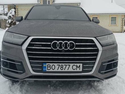 Ауди Ку 7 2016 в Кременце на Automoto.ua Серый Ауди Ку 7, объемом двигателя 3 л и пробегом 163 тыс. км за 39700 $, фото 1 на Automoto.ua