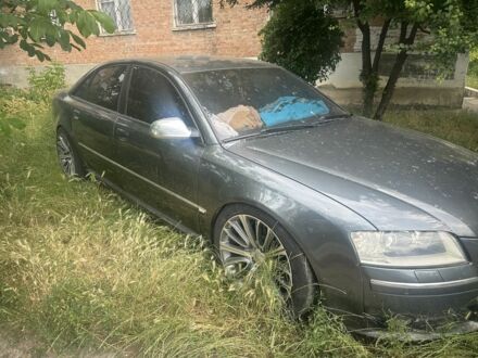 Серый Ауди С8, объемом двигателя 5.2 л и пробегом 230 тыс. км за 5000 $, фото 1 на Automoto.ua