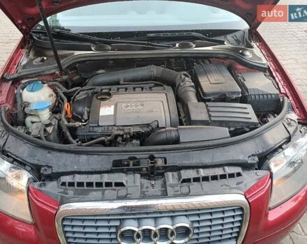 Красный Ауди A3 Sportback, объемом двигателя 1.8 л и пробегом 163 тыс. км за 6599 $, фото 12 на Automoto.ua