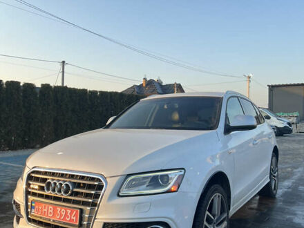 Ауди SQ5 2015 в Луцке на Automoto.ua Белый Ауди SQ5, объемом двигателя 3 л и пробегом 167 тыс. км за 17200 $, фото 1 на Automoto.ua