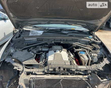 Сірий Ауді SQ5, об'ємом двигуна 3 л та пробігом 155 тис. км за 17500 $, фото 16 на Automoto.ua