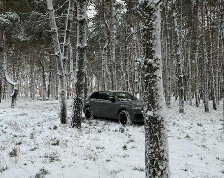 Серый Ауди SQ5, объемом двигателя 3 л и пробегом 60 тыс. км за 45000 $, фото 3 на Automoto.ua