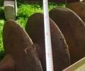 БДТ 1.5, об'ємом двигуна 0 л та пробігом 0 тис. км за 170 $, фото 4 на Automoto.ua