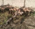БДТ 2.5, об'ємом двигуна 0 л та пробігом 0 тис. км за 3000 $, фото 1 на Automoto.ua