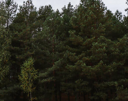 Белый БМВ 2 Серия, объемом двигателя 3 л и пробегом 103 тыс. км за 27500 $, фото 12 на Automoto.ua