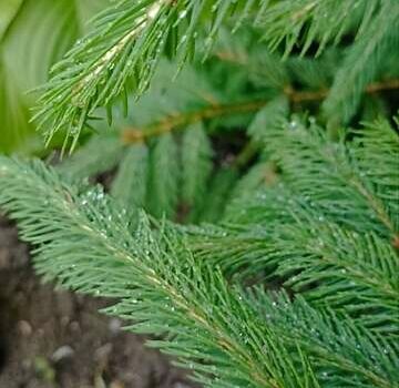 БМВ 3 Серія ГТ, об'ємом двигуна 0 л та пробігом 20 тис. км за 2998 $, фото 1 на Automoto.ua