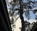 Білий БМВ 3 Серія, об'ємом двигуна 2 л та пробігом 156 тис. км за 21500 $, фото 21 на Automoto.ua