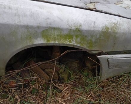 Белый БМВ 3 Серия, объемом двигателя 3.1 л и пробегом 1 тыс. км за 600000 $, фото 1 на Automoto.ua