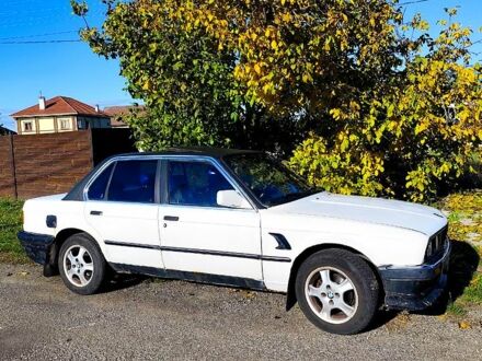 БМВ 3 Серия 1986 в Борисполе на Automoto.ua Белый БМВ 3 Серия, объемом двигателя 2.7 л и пробегом 270 тыс. км за 1900 $, фото 1 на Automoto.ua