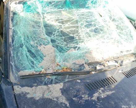 Черный БМВ 3 Серия, объемом двигателя 3 л и пробегом 100 тыс. км за 3574 $, фото 1 на Automoto.ua