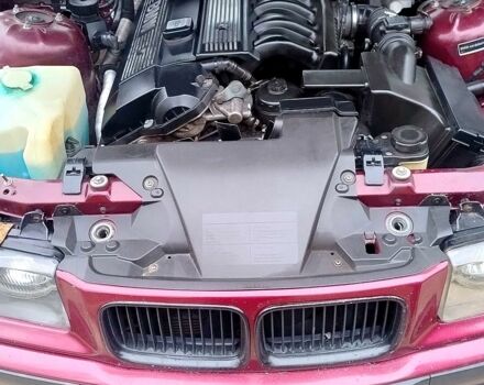 Красный БМВ 3 Серия, объемом двигателя 2 л и пробегом 350 тыс. км за 2000 $, фото 3 на Automoto.ua