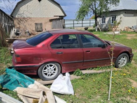БМВ 3 Серия 1994 в Чернигове на Automoto.ua Красный БМВ 3 Серия, объемом двигателя 1.8 л и пробегом 300 тыс. км за 1800 $, фото 1 на Automoto.ua