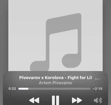 Серый БМВ 3 Серия, объемом двигателя 1.99 л и пробегом 380 тыс. км за 2600 $, фото 12 на Automoto.ua