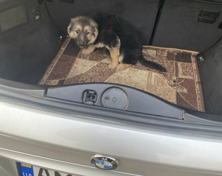 Серый БМВ 3 Серия, объемом двигателя 1.8 л и пробегом 370 тыс. км за 4700 $, фото 9 на Automoto.ua