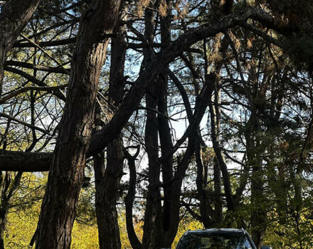 Синий БМВ 3 Серия, объемом двигателя 2 л и пробегом 111 тыс. км за 22500 $, фото 1 на Automoto.ua