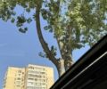 Белый БМВ 4 Серия, объемом двигателя 2 л и пробегом 148 тыс. км за 21500 $, фото 15 на Automoto.ua