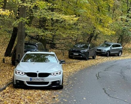 Белый БМВ 4 Серия, объемом двигателя 2 л и пробегом 127 тыс. км за 24000 $, фото 2 на Automoto.ua