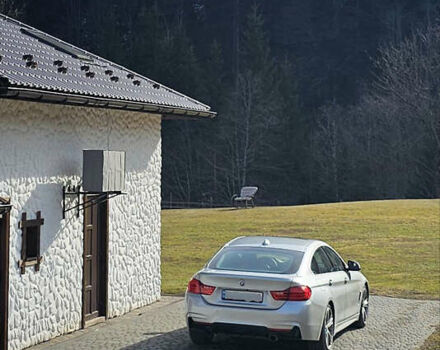 Серый БМВ 4 Серия, объемом двигателя 2 л и пробегом 36 тыс. км за 27000 $, фото 8 на Automoto.ua