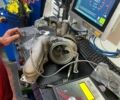 Синій БМВ 4 Серія, об'ємом двигуна 2 л та пробігом 196 тис. км за 18200 $, фото 83 на Automoto.ua
