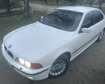 Белый БМВ 5 Серия, объемом двигателя 2.5 л и пробегом 450 тыс. км за 4200 $, фото 2 на Automoto.ua