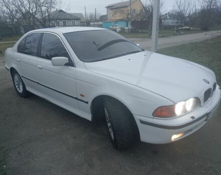 Белый БМВ 5 Серия, объемом двигателя 2.5 л и пробегом 450 тыс. км за 4200 $, фото 3 на Automoto.ua