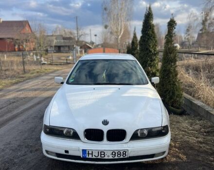 Белый БМВ 5 Серия, объемом двигателя 2.5 л и пробегом 300 тыс. км за 1900 $, фото 3 на Automoto.ua
