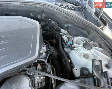 Білий БМВ 5 Серія, об'ємом двигуна 2 л та пробігом 272 тис. км за 14000 $, фото 15 на Automoto.ua