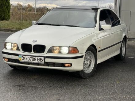 Белый БМВ 5 Серия, объемом двигателя 2.5 л и пробегом 350 тыс. км за 3000 $, фото 1 на Automoto.ua
